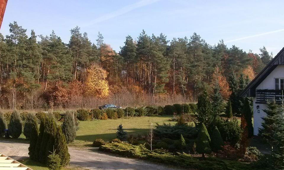 Pokoje Goscinne Przylesie Łobez Exterior foto