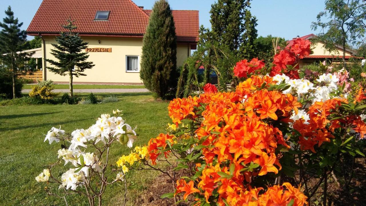 Pokoje Goscinne Przylesie Łobez Exterior foto